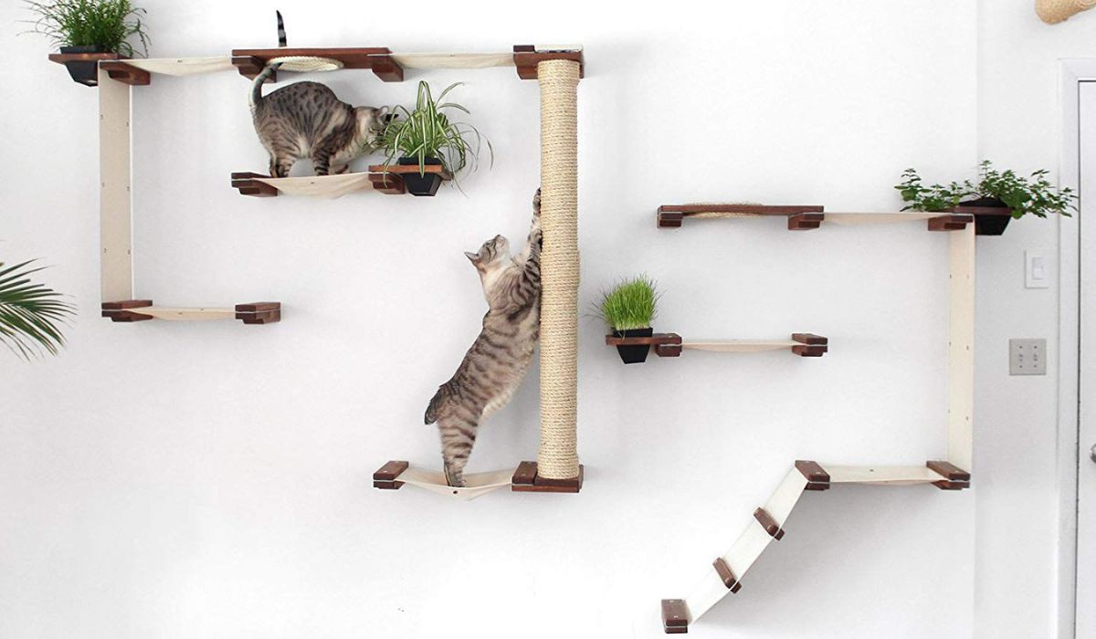 The Benefits and Beauty of Cat Shelves: Creating Vertical Playgrounds for Feline Friends