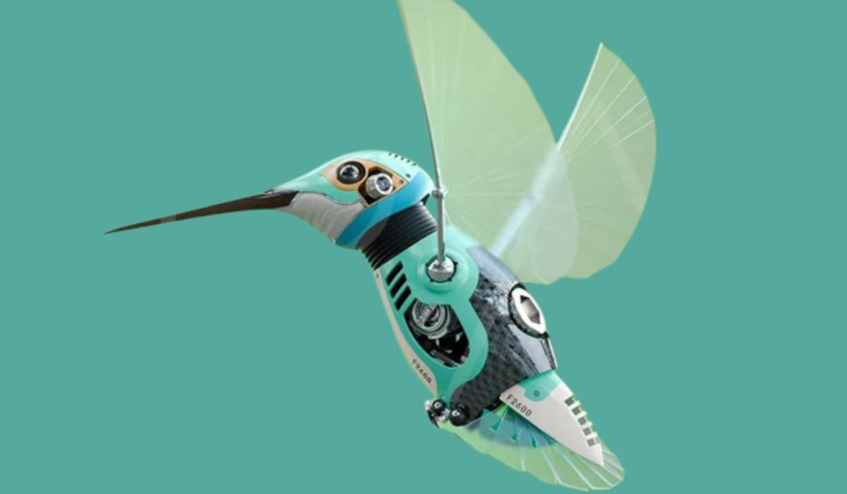 Hummingbird Robotics: Revolutionizing the World of Robotics