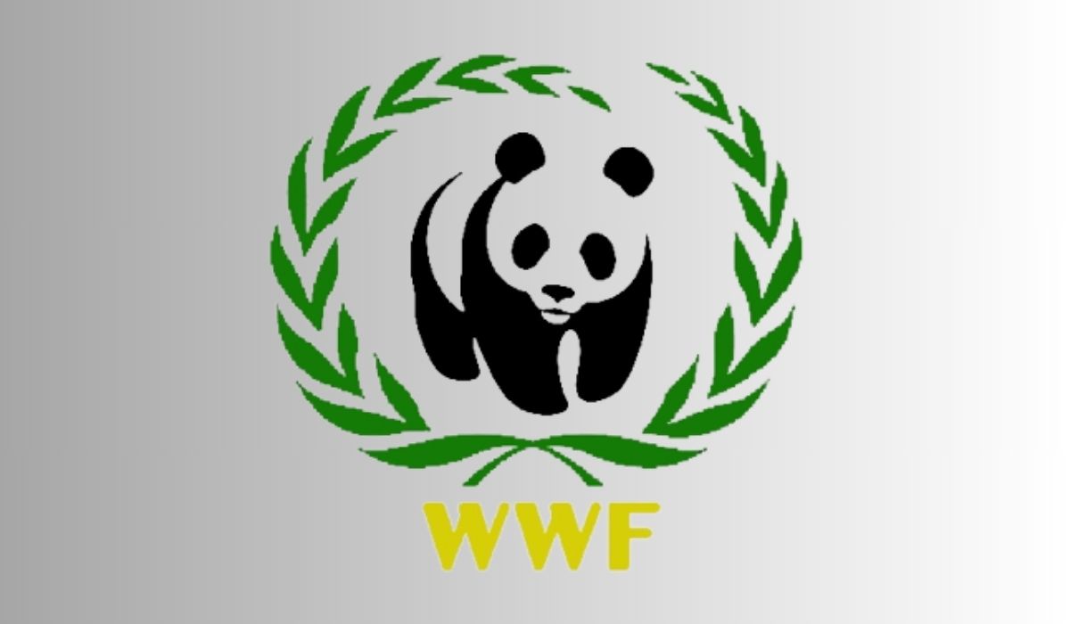 The world wildlife fund is. ВВФ Всемирный фонд дикой природы. Всемирный фонд дикой природы (ВВФ) эмблема. Всемирный фонд природы (WWF — World Wildlife Fund) логотип. День рождения Всемирного фонда дикой природы 11 сентября.