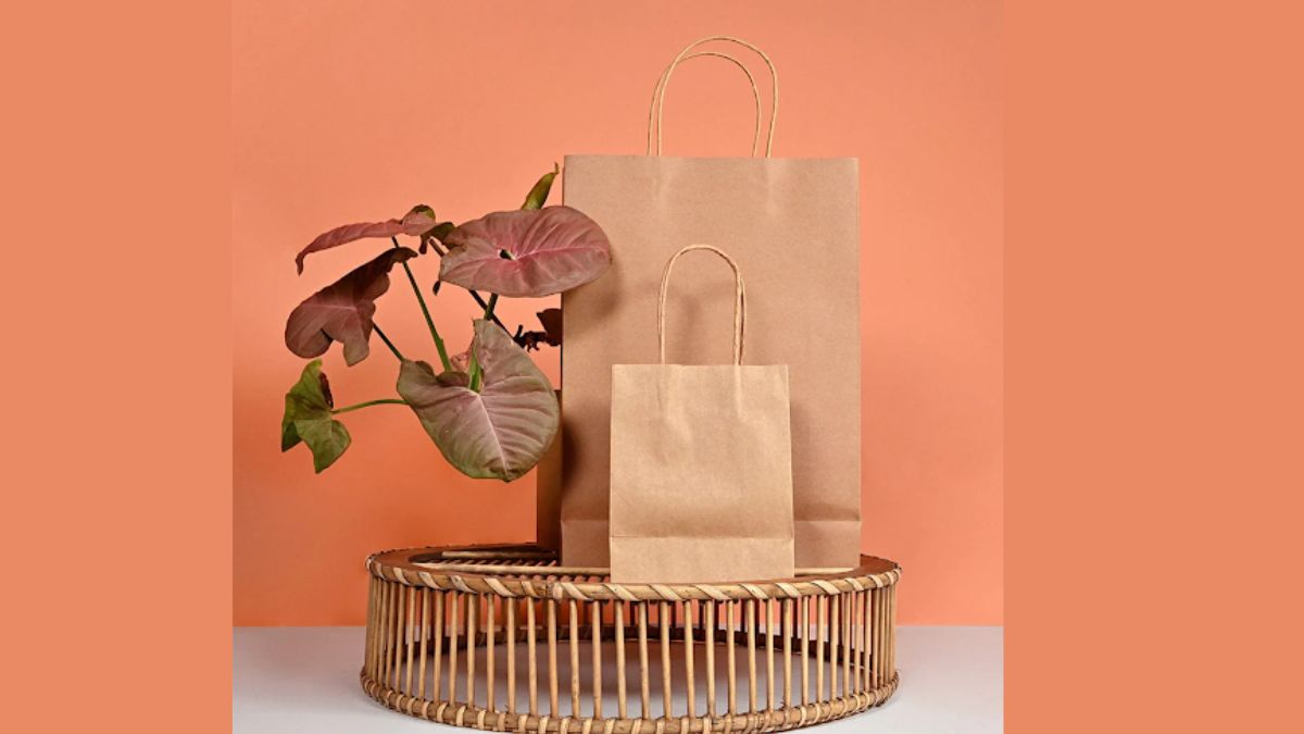 Paper Bags with Handles