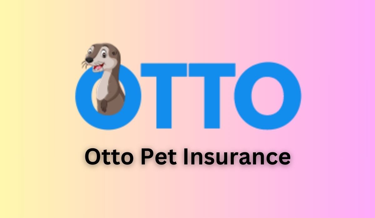 Protect Your Furry Friend with Otto Pet Insurance: Everything You Need to Know