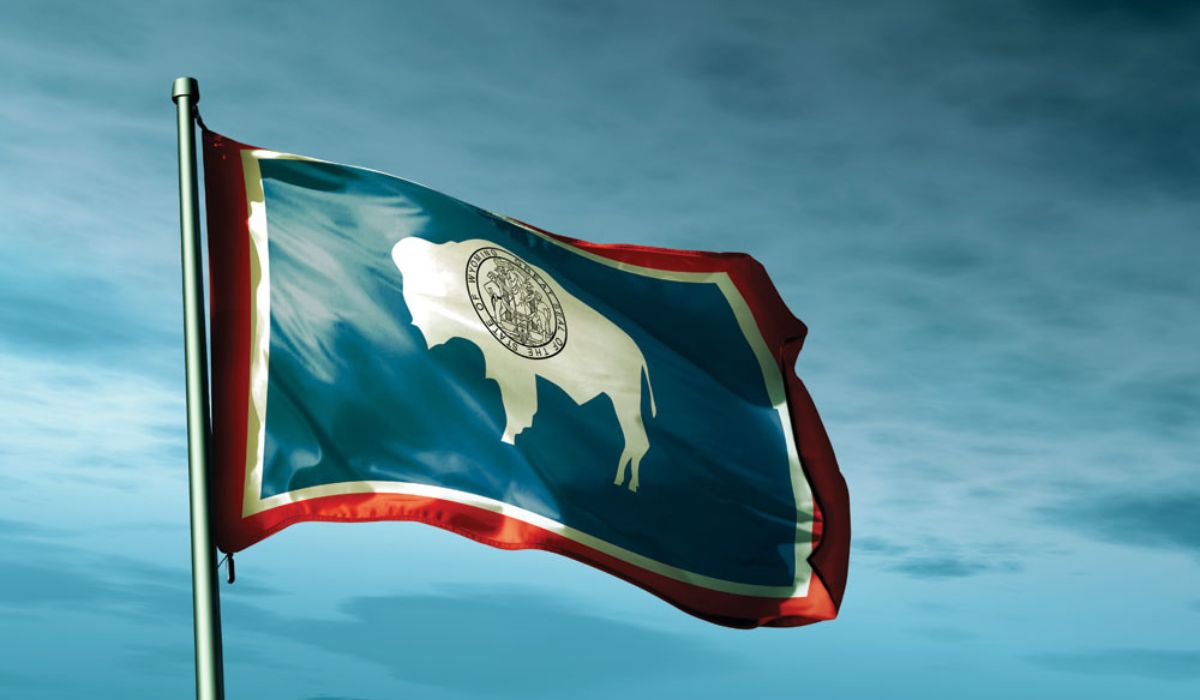 Unraveling the Symbolism: The Story Behind Wyoming's Flag