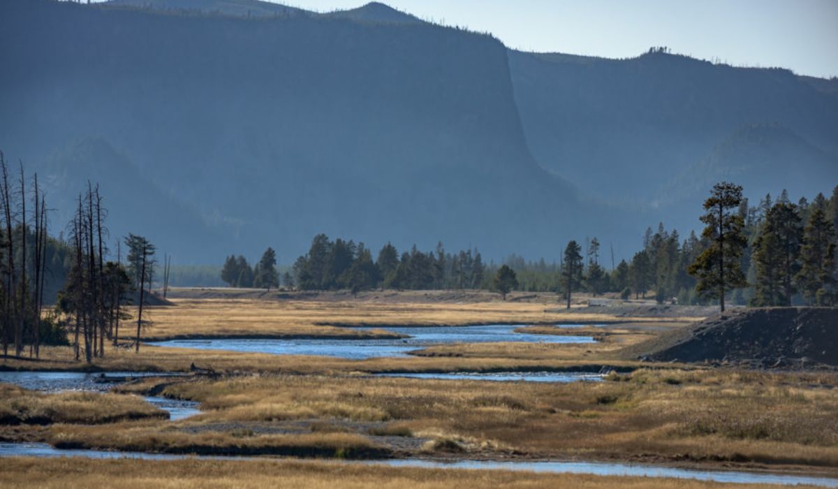 Exploring the Wonders of the Greater Yellowstone Ecosystem: Latest News and Updates