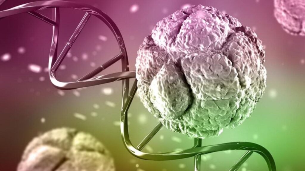 Hormone Chorionic Gonadotropin