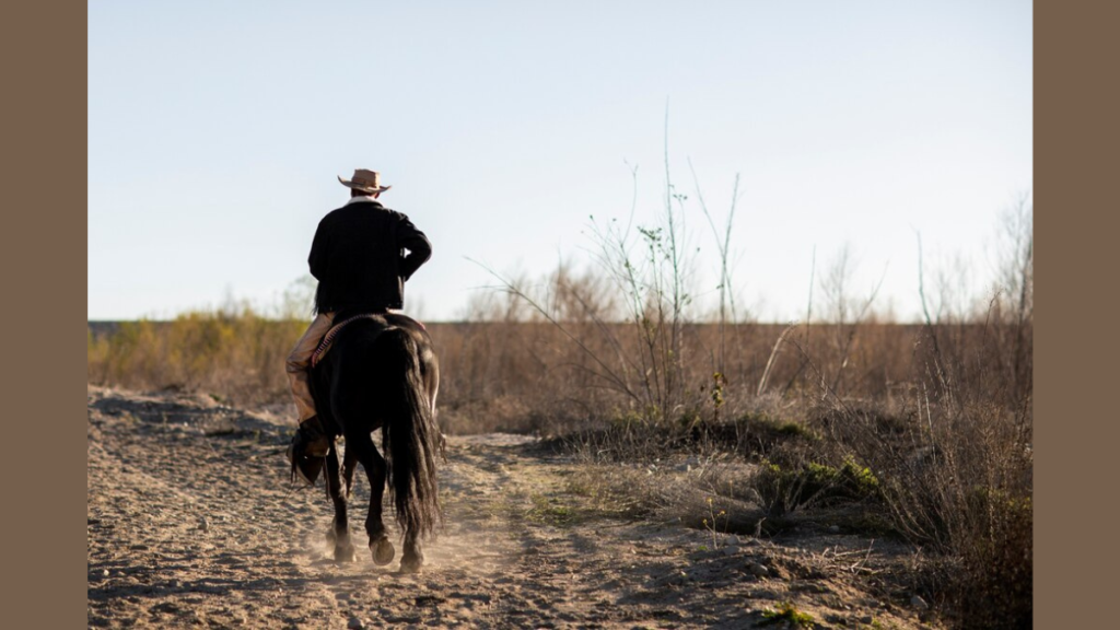 mustang ranch
