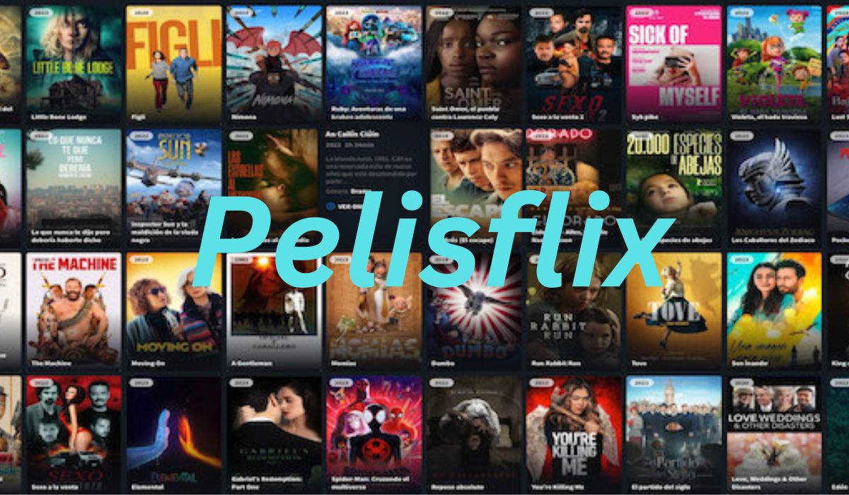 Discover the Top Movies and TV Shows on Pelisflix: A Comprehensive Review