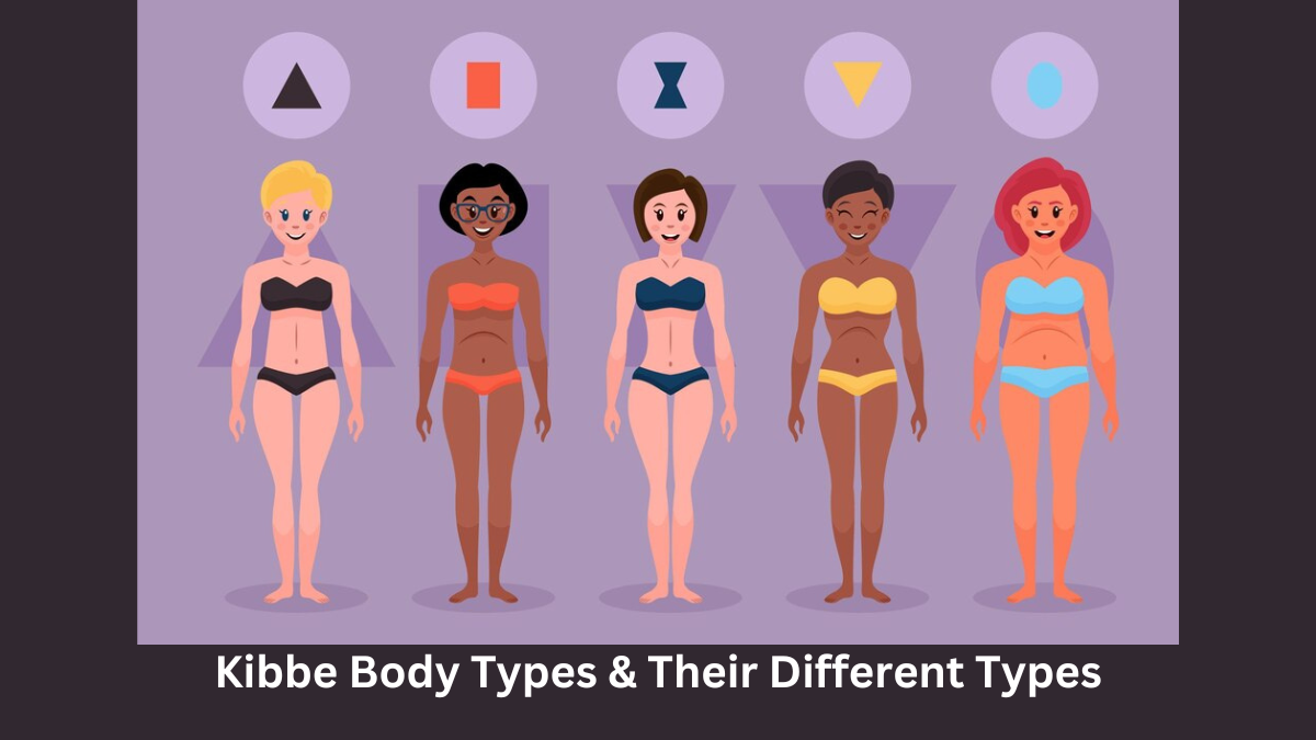 kibbe body types