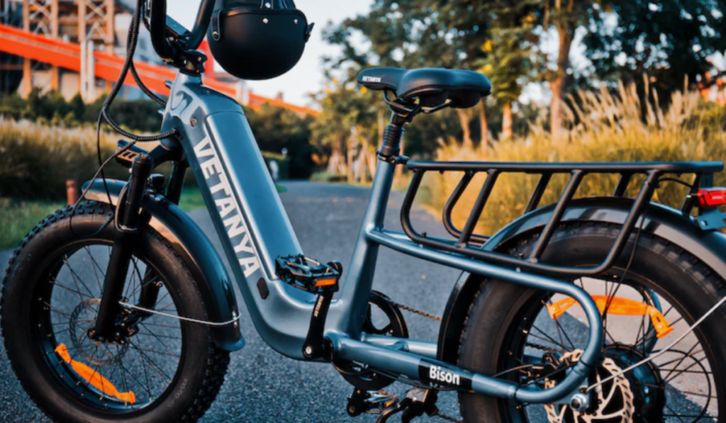 The Bison Cargo E-Bike Review: Carrying More with Less Effort