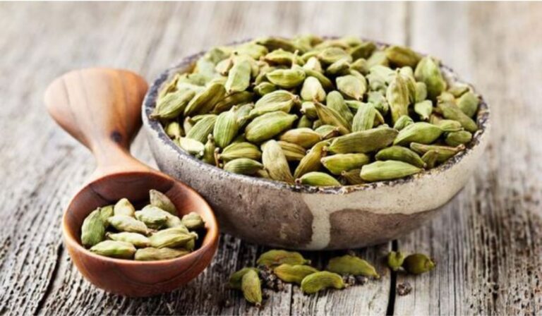 The Health Benefits of Cardamon: Why You Should Add It to Your Diet