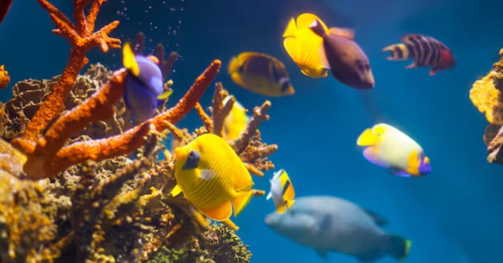 Is ShrimpFit the Ultimate Solution for Mineralizing Aquarium Water?