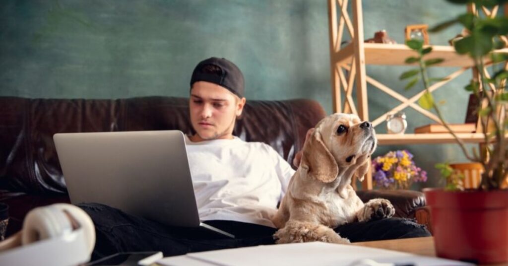 Tips for Customizing Petpage Lookups