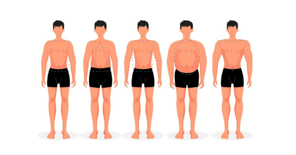 Girth Size Chart: A Comprehensive Guide to Understanding and Measuring Girth