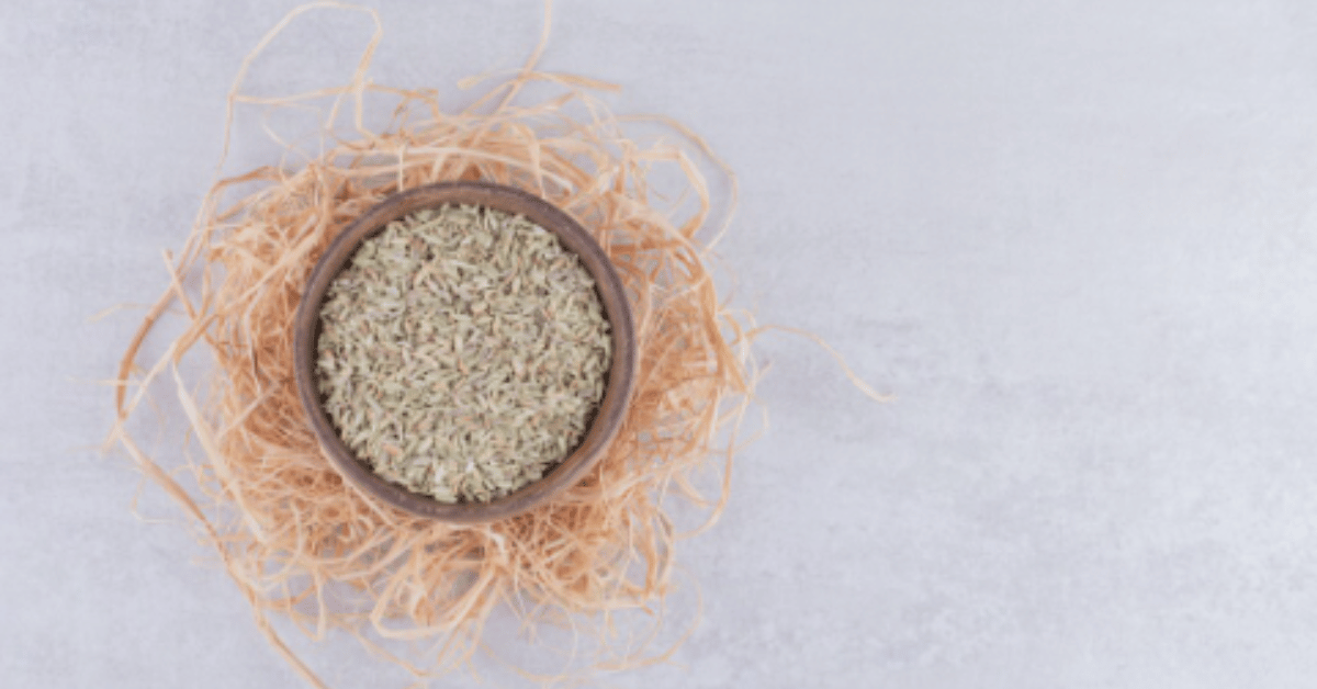 kentucky bluegrass seed