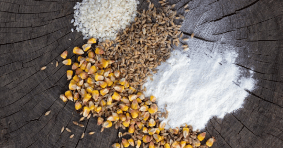 starch from maize