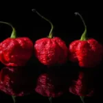 Carolina Reaper Pepper Scoville Units