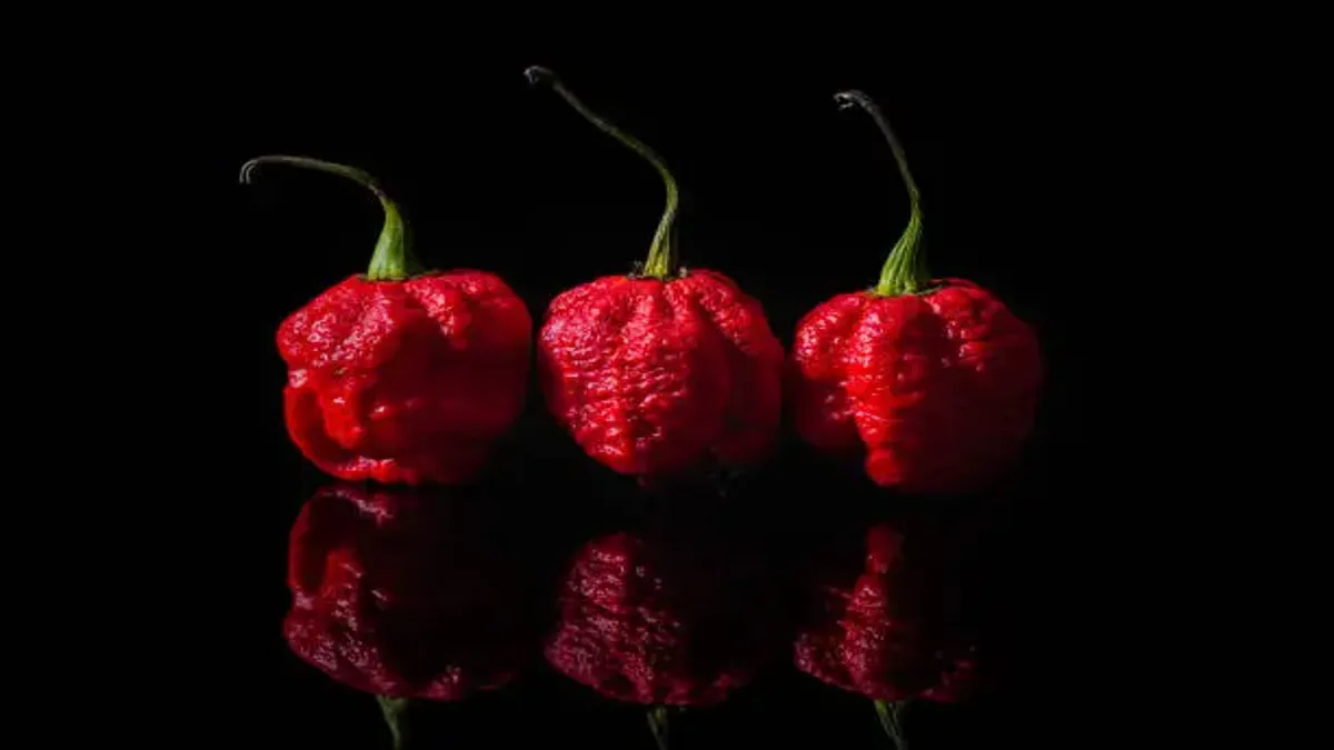 Carolina Reaper Pepper Scoville Units