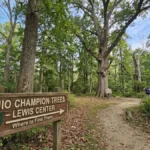 Ohio Champion Trees Lewis Center Ohio