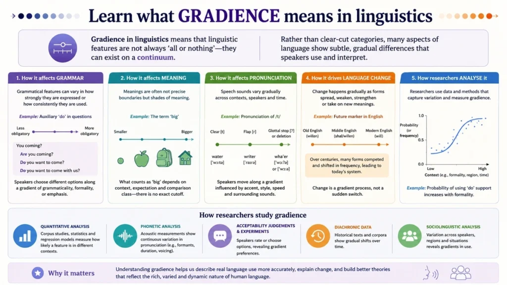 Gradience in Linguistics: Meaning, Types, Examples, and Practical Analysis