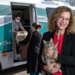 Donna Sicuranza: TEAM Leadership and Connecticut Cat Welfare Work
